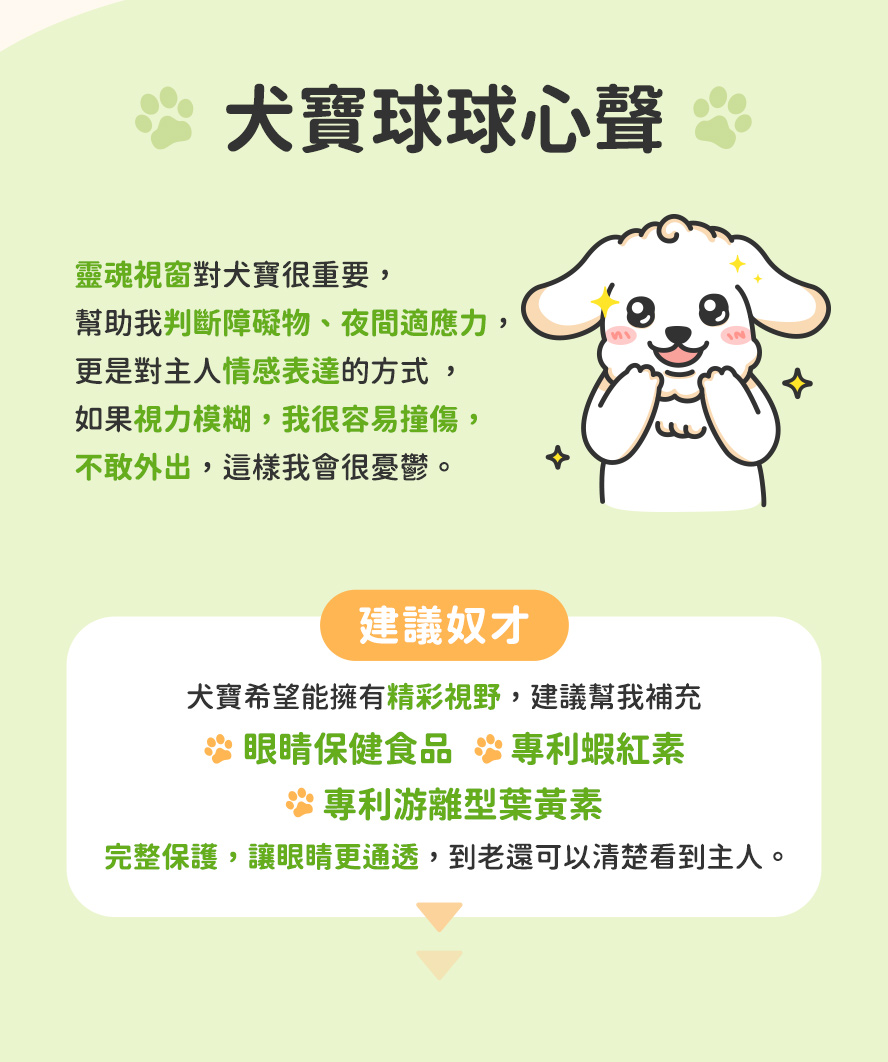 眼睛是狗狗靈魂之窗，主人要幫我補充護眼保健，讓眼睛更健康。